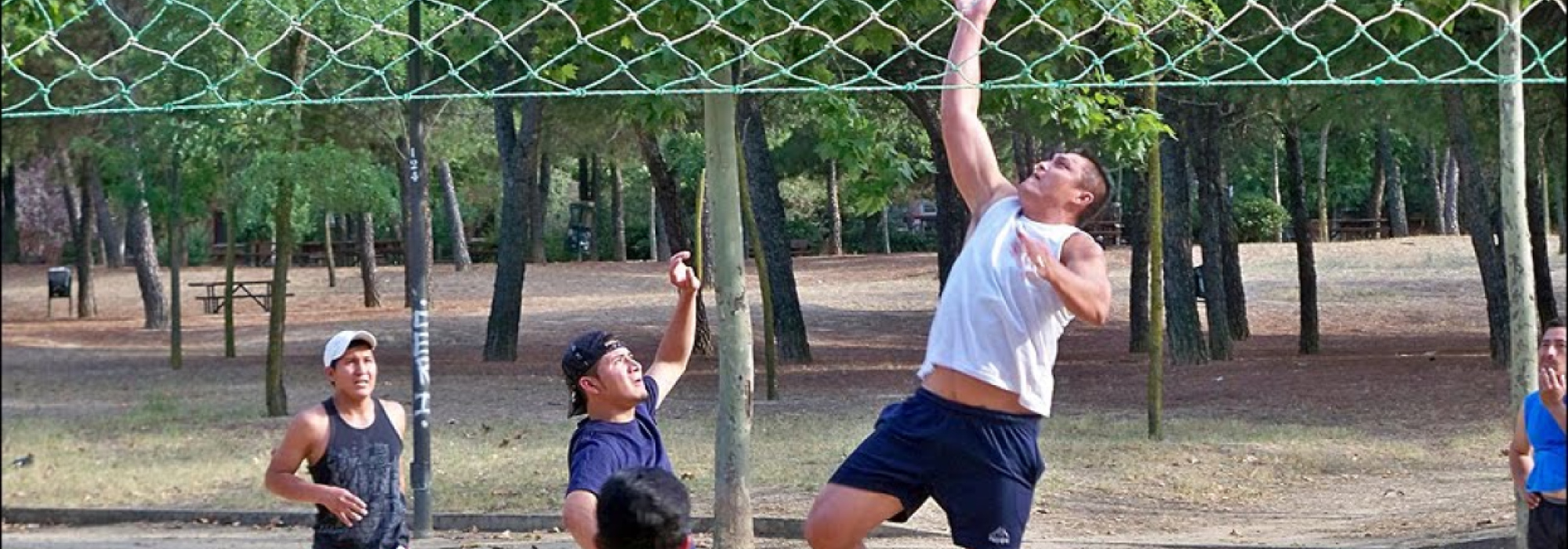 Toreno Volley Ita-Dor