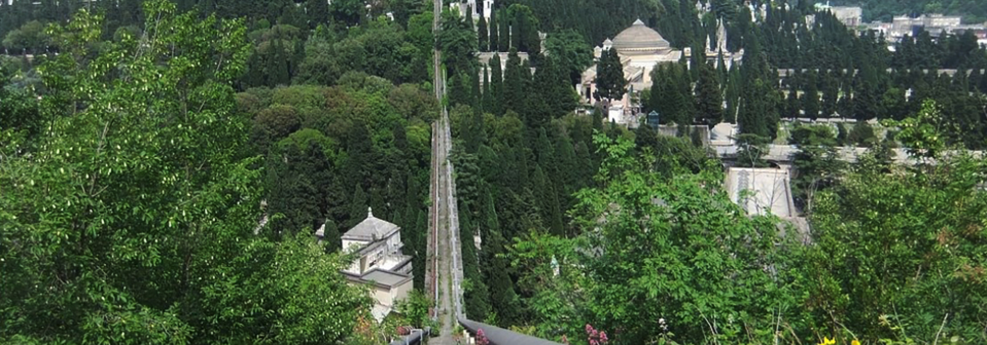 Corro con sul Ponte del Sifone