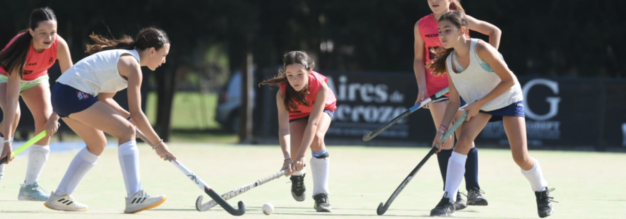 Hockey su prato a La Plata Argentina